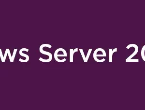Lenovo Windows Server 2025 Client Access License (CAL) License